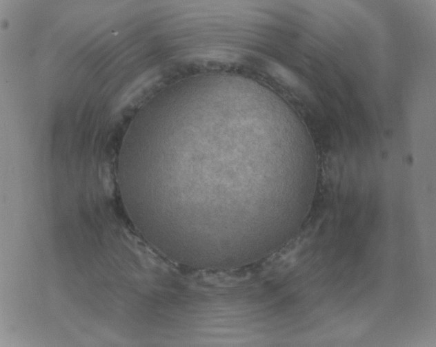 X0000070430774200606231917