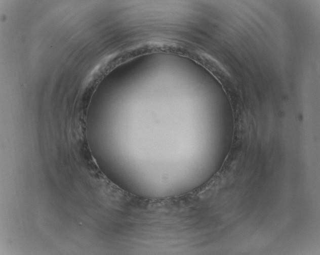 X0000070430776200606231917