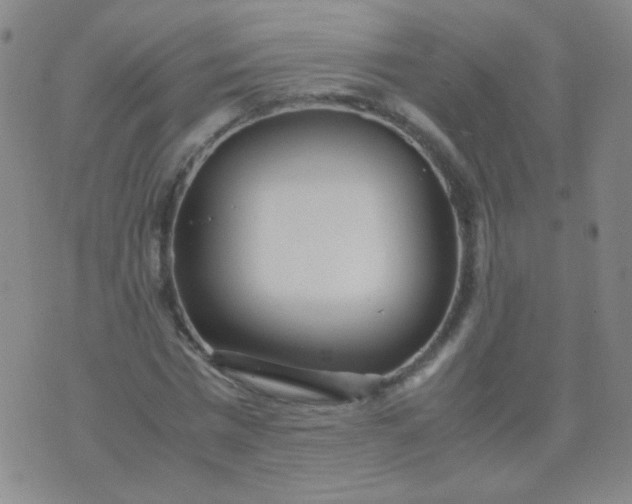 X0000070430777200606231917