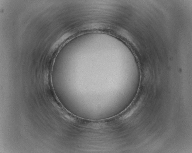 X0000070430778200606231917