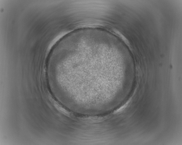 X0000070430779200606231917