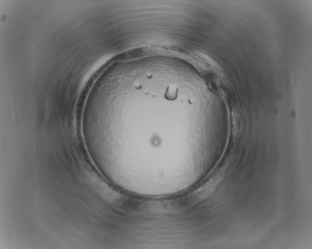 X0000070430780200606231917