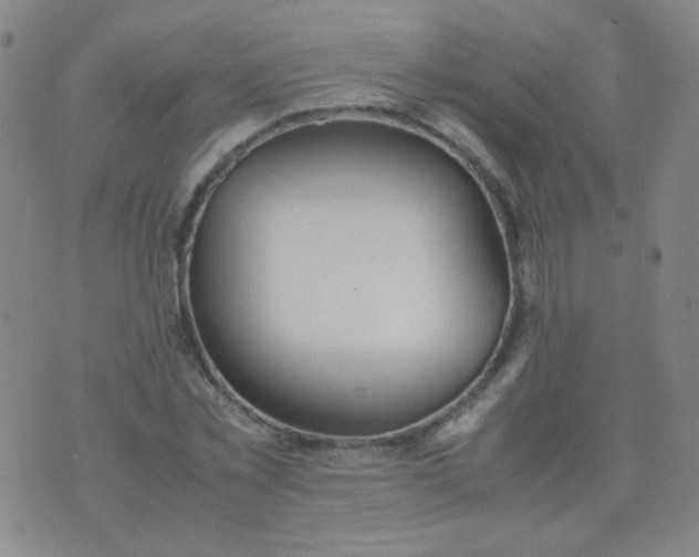 X0000070430781200606231917