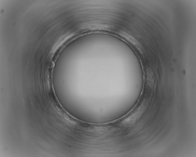 X0000070430782200606231917