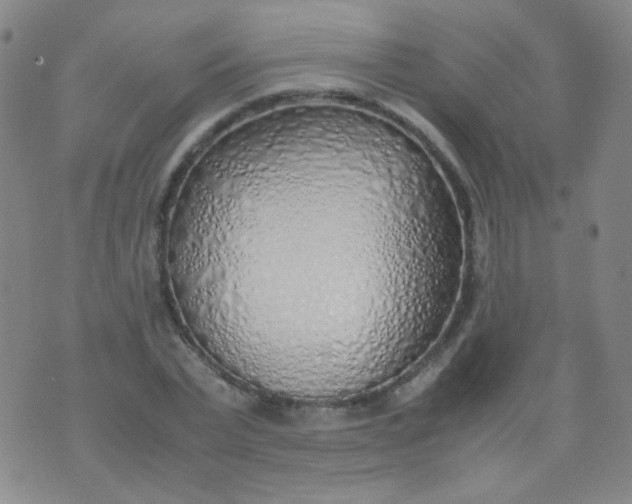 X0000070430783200606231917