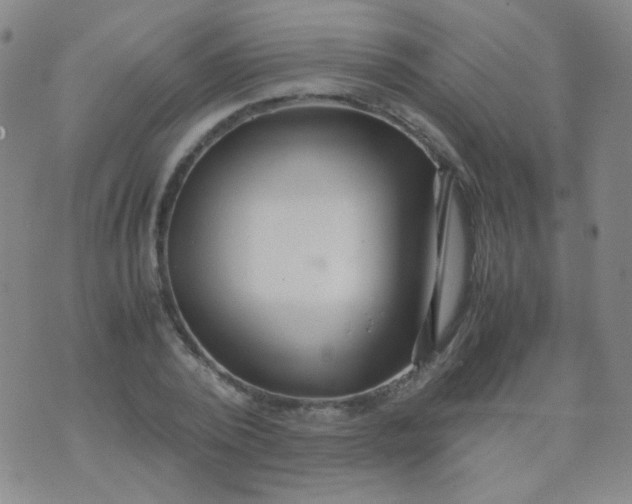 X0000070430784200606231917