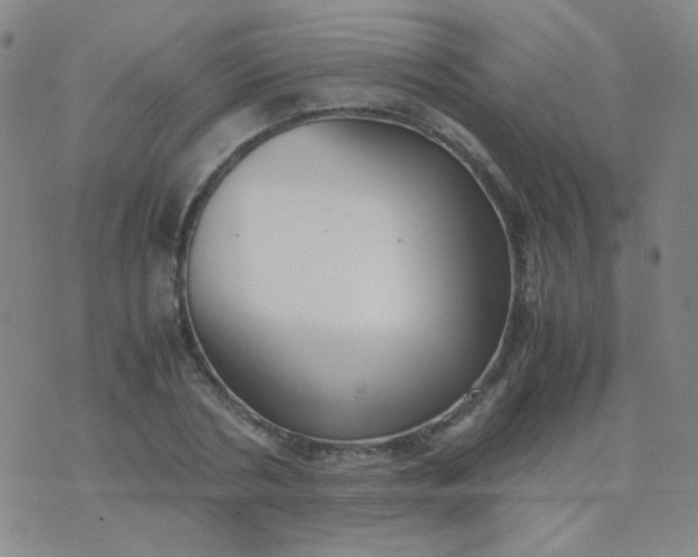 X0000070430786200606231917