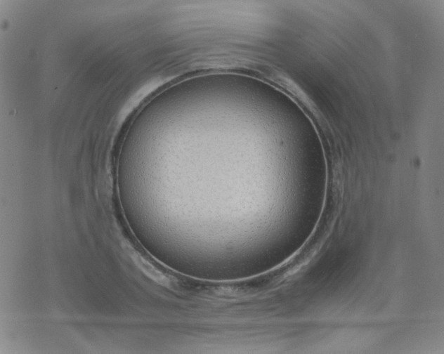 X0000070430787200606231917