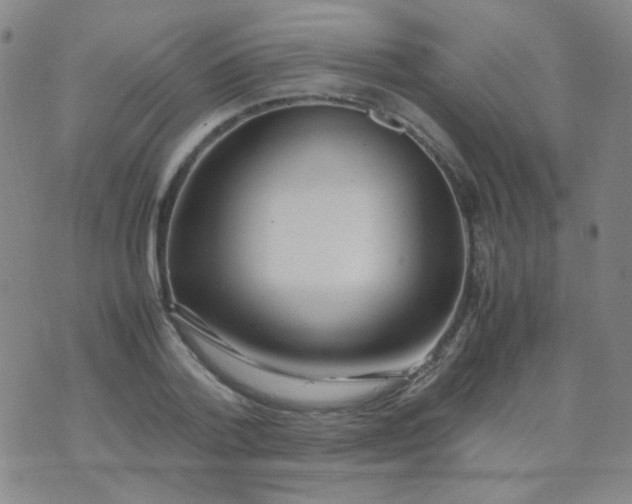 X0000070430788200606231917