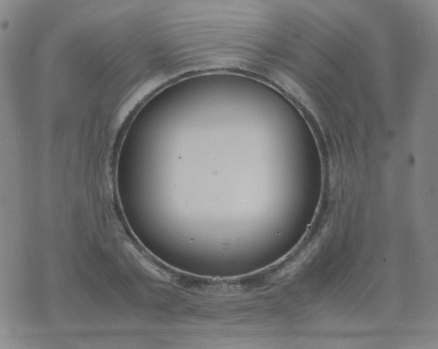 X0000070430789200606231917