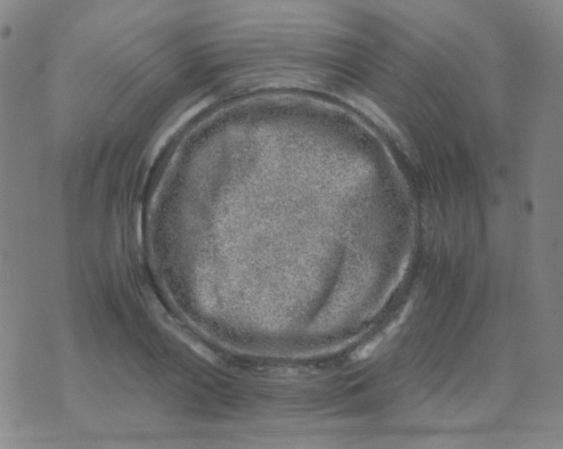 X0000070430790200606231917