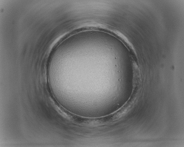 X0000070430791200606231917