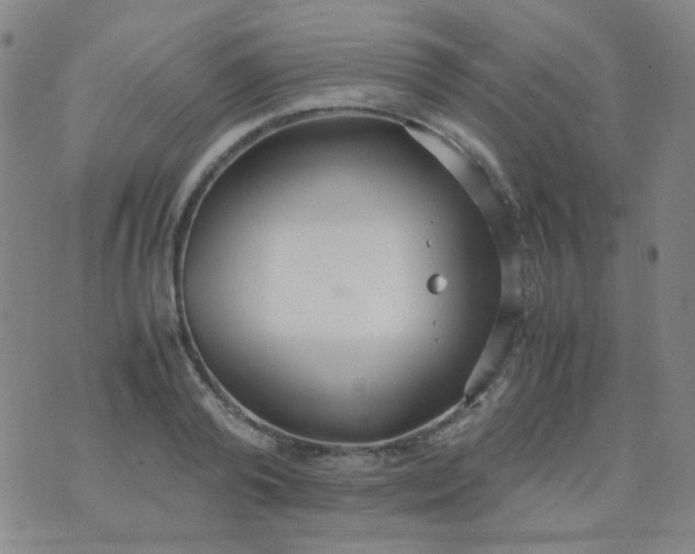 X0000070430792200606231917