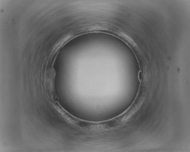 X0000070430793200606231917