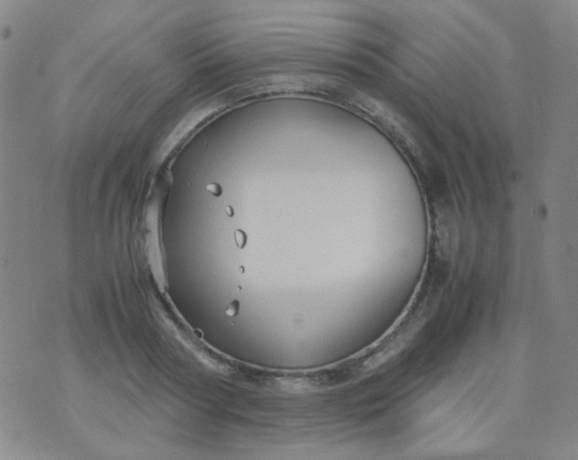 X0000070430794200606231917