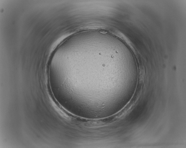 X0000070430795200606231917