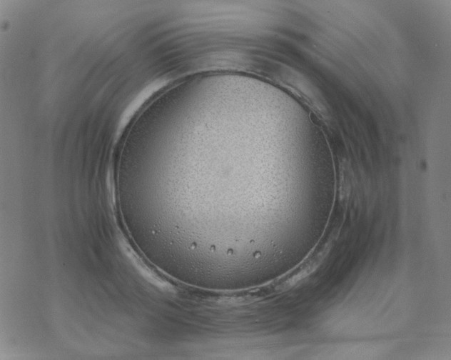 X0000070430796200606231917