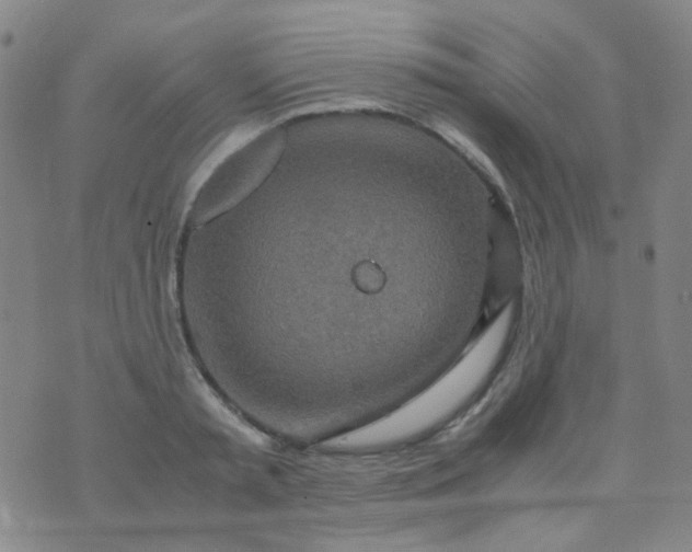 X0000070430797200606231917