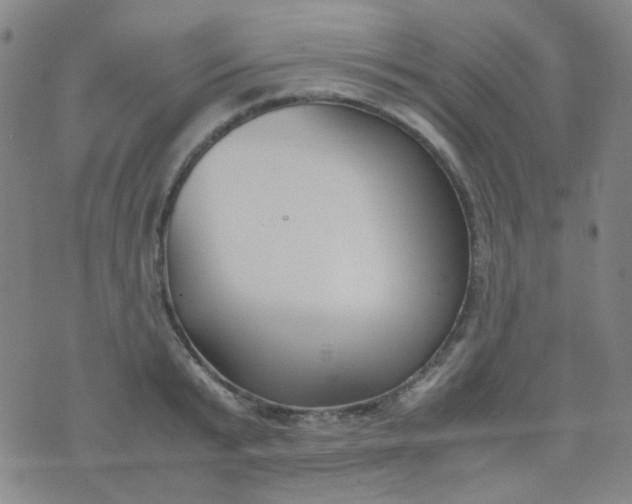 X0000070430799200606231917