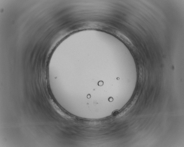 X0000070430800200606231916