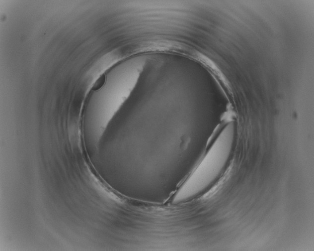 X0000070430802200606231916