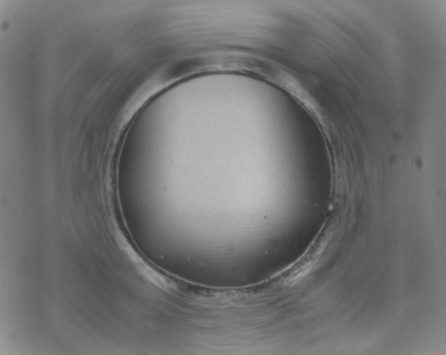 X0000070430803200606231916