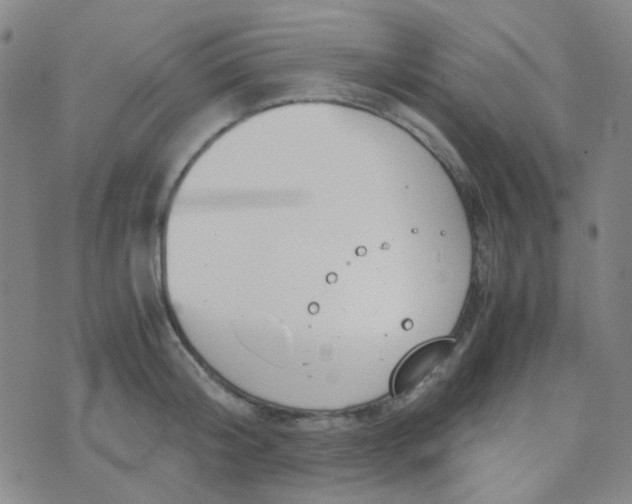 X0000070430804200606231916