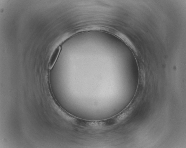 X0000070430805200606231916