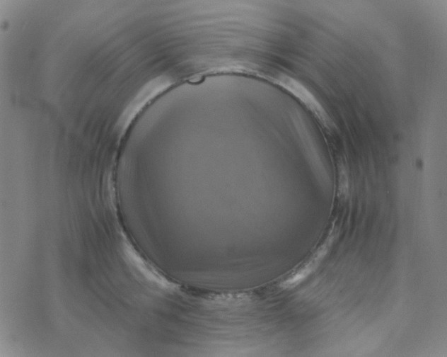 X0000070430806200606231916