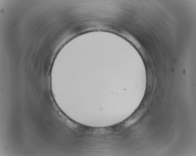 X0000070430807200606231916