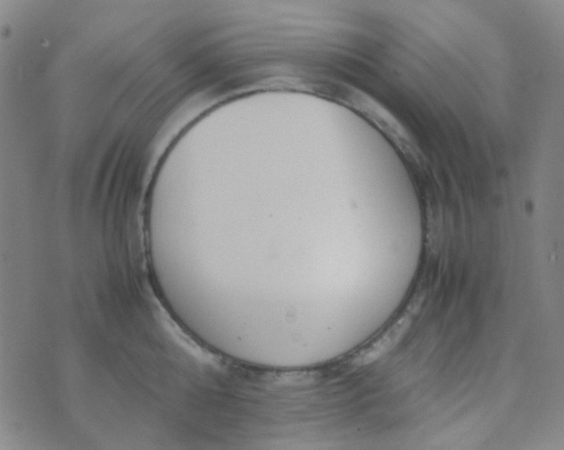 X0000070430808200606231916