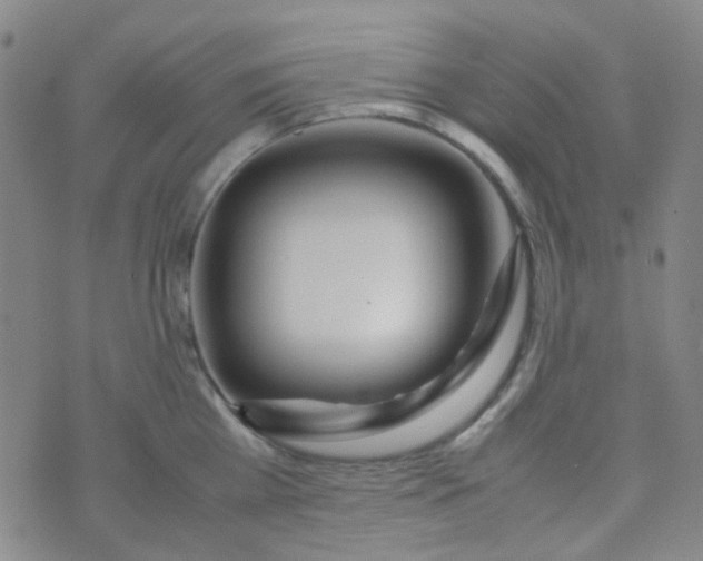 X0000070430809200606231916