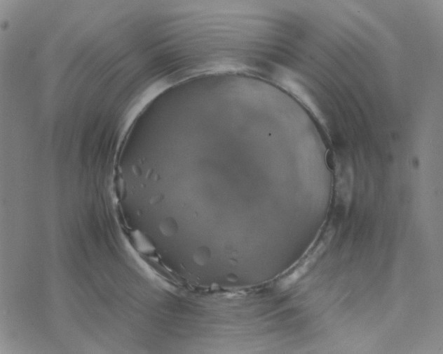 X0000070430810200606231916