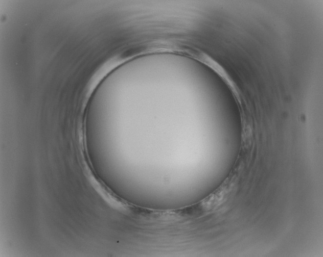 X0000070430811200606231916