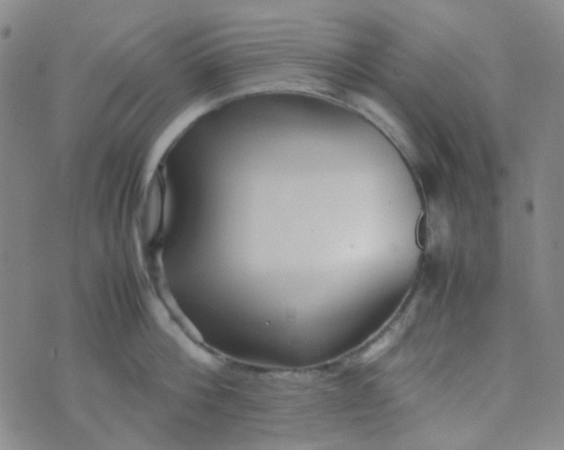 X0000070430812200606231916