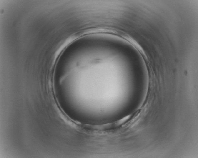 X0000070430813200606231916