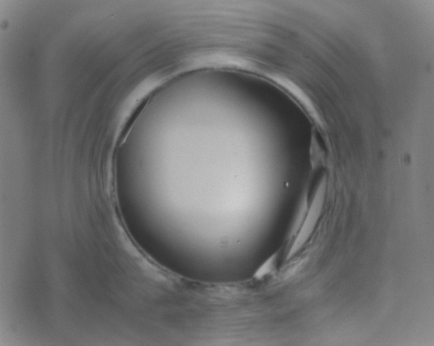 X0000070430815200606231916