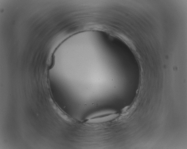 X0000070430816200606231916