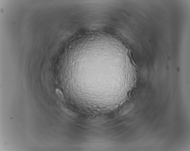 X0000070430817200606231915