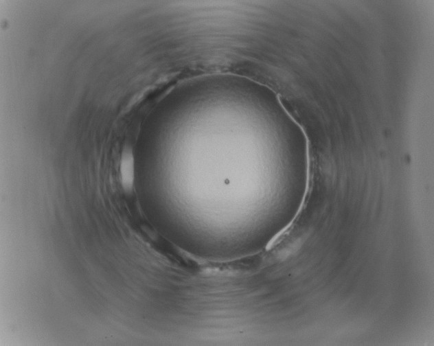 X0000070430818200606231915