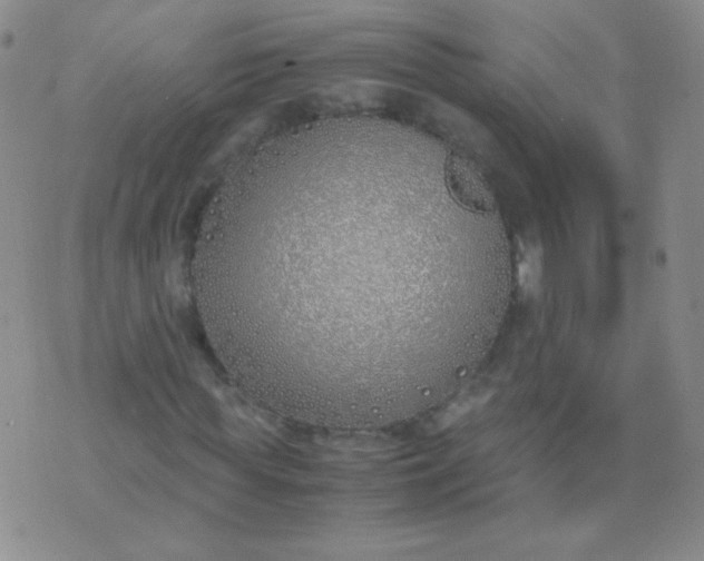 X0000070430819200606231915