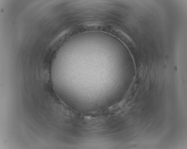 X0000070430821200606231916