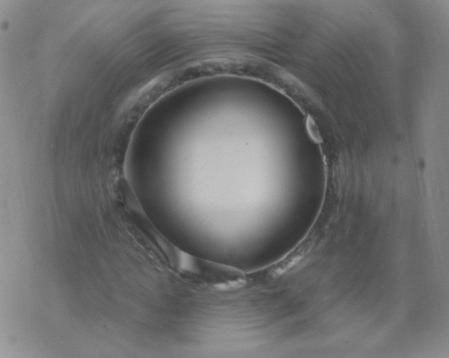 X0000070430822200606231916