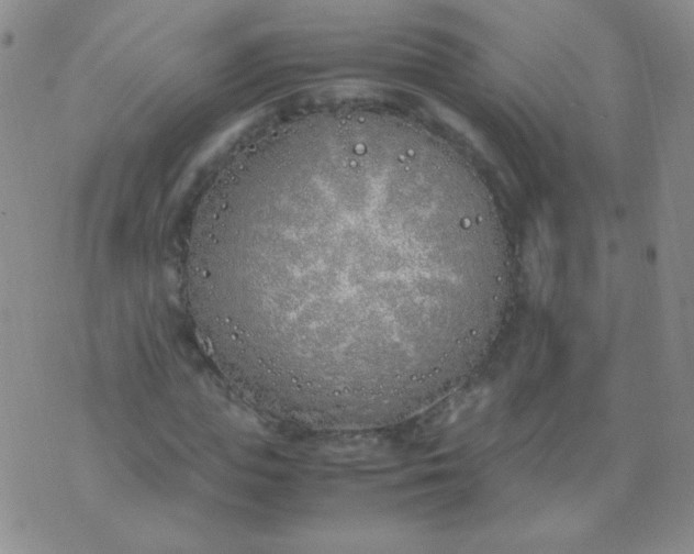 X0000070430823200606231916