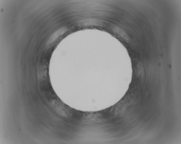 X0000070430824200606231916