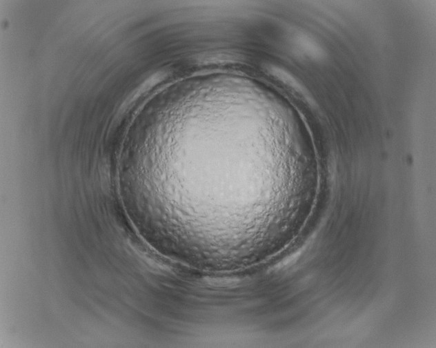 X0000070430825200606231916