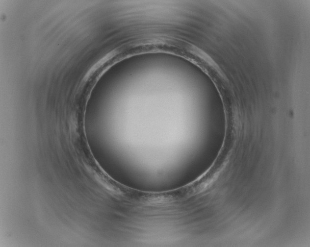 X0000070430826200606231916