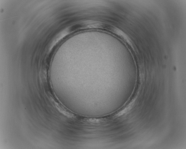 X0000070430827200606231916