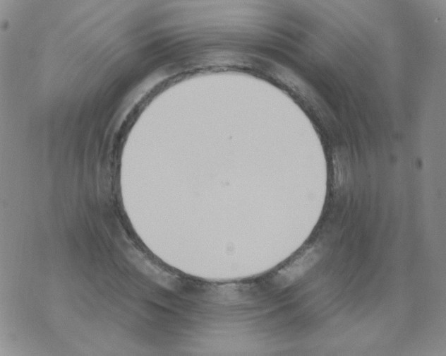 X0000070430828200606231916