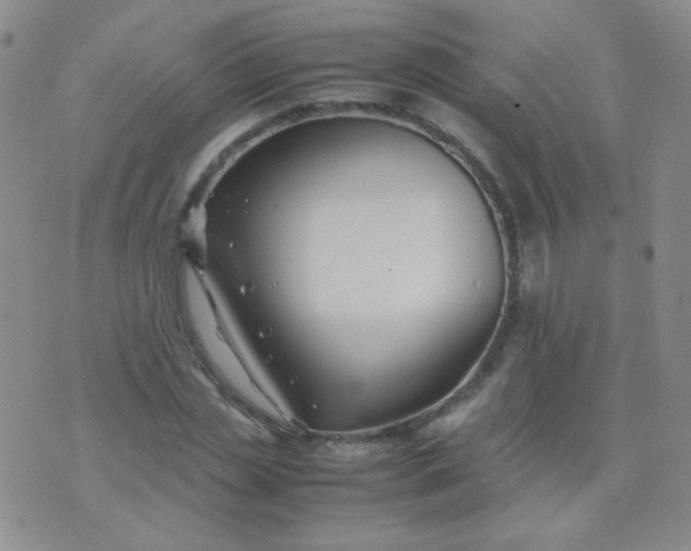 X0000070430829200606231916